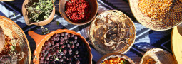 Weaponizing Food: The Colonization of Indigenous Food Systems