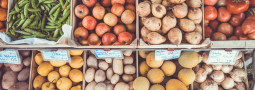 Understanding How to Combat Food Insecurity Among College Students
